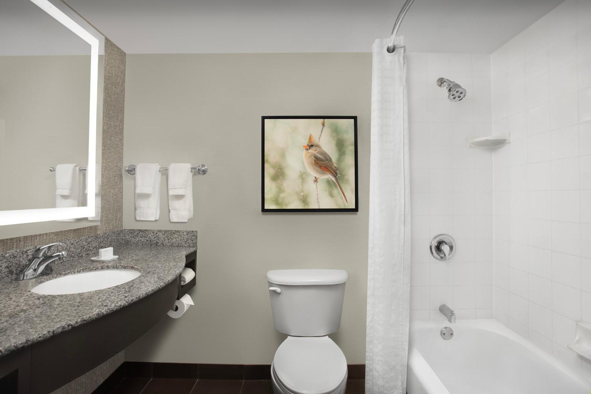 Hilton Garden Inn Hoffman Estates Bagian luar foto