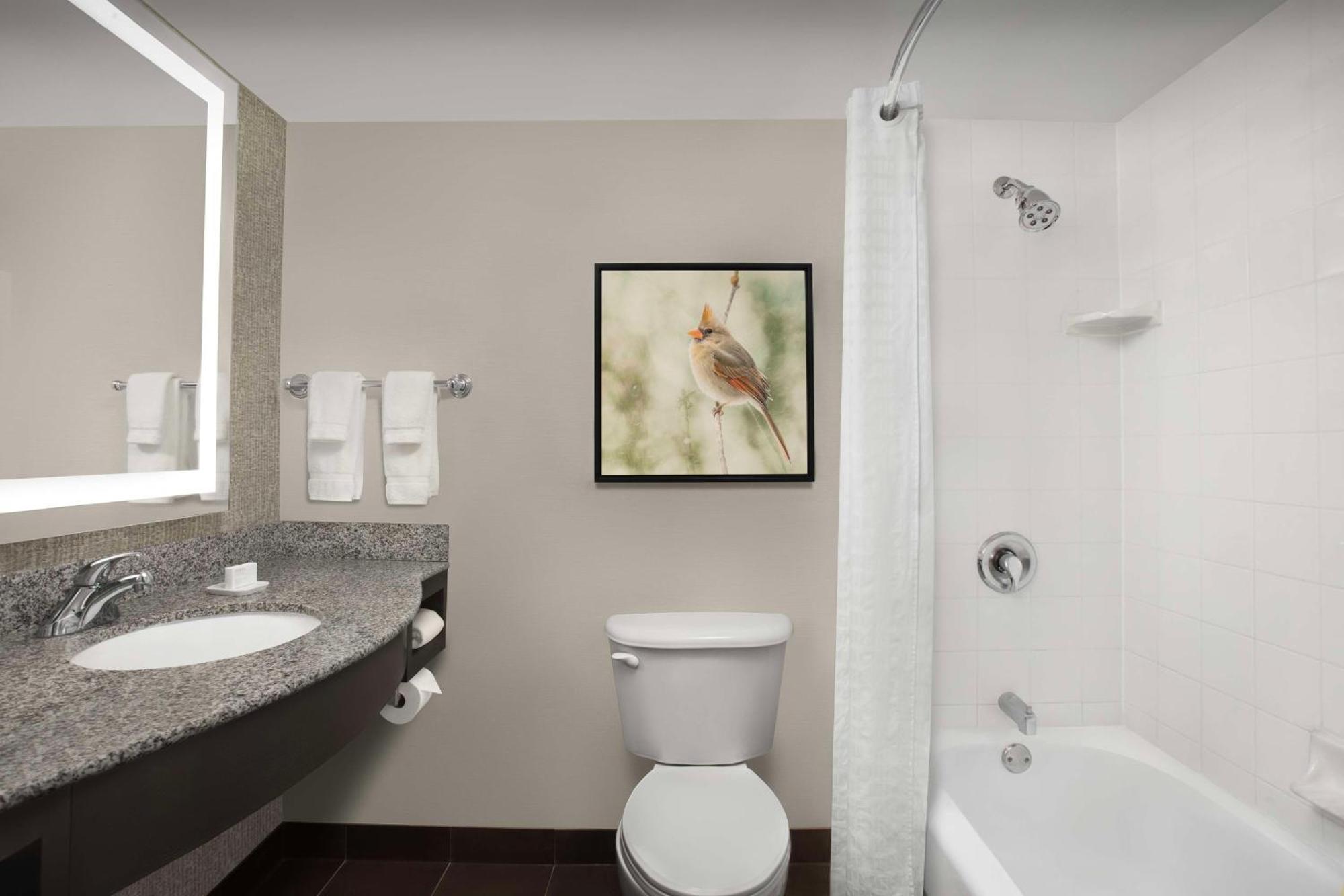 Hilton Garden Inn Hoffman Estates Bagian luar foto